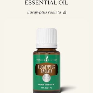 Young Living Eucalyptus Radiata Essential Oil - Green and Brown Label